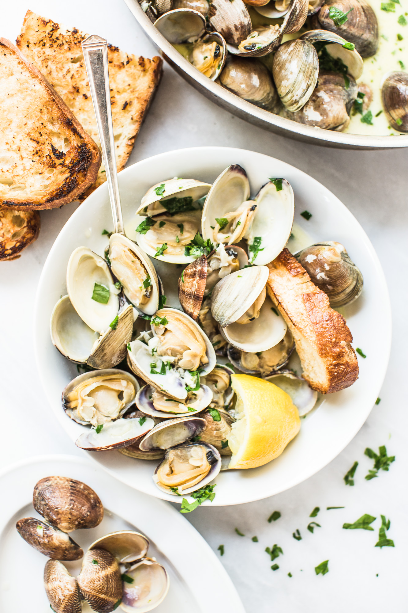 Clams in white wine sauce