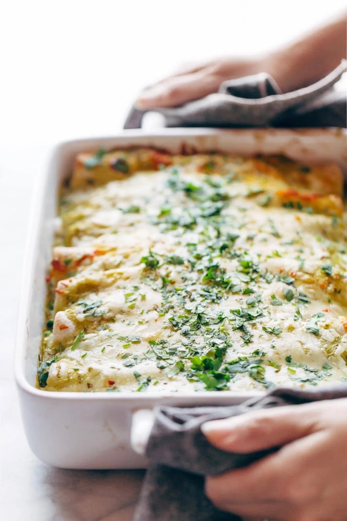 Baked enchiladas verdes in a casserole dish with melted cheese and cilantro